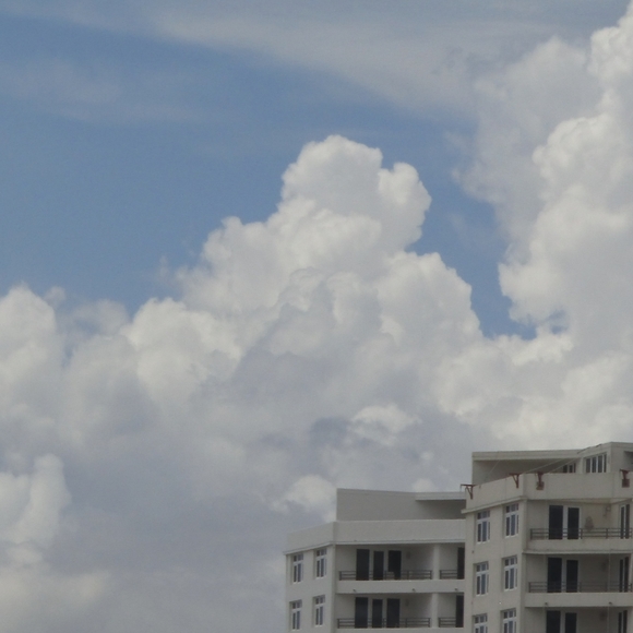 Meet your Posher, Kuro - Picture 2 of 4